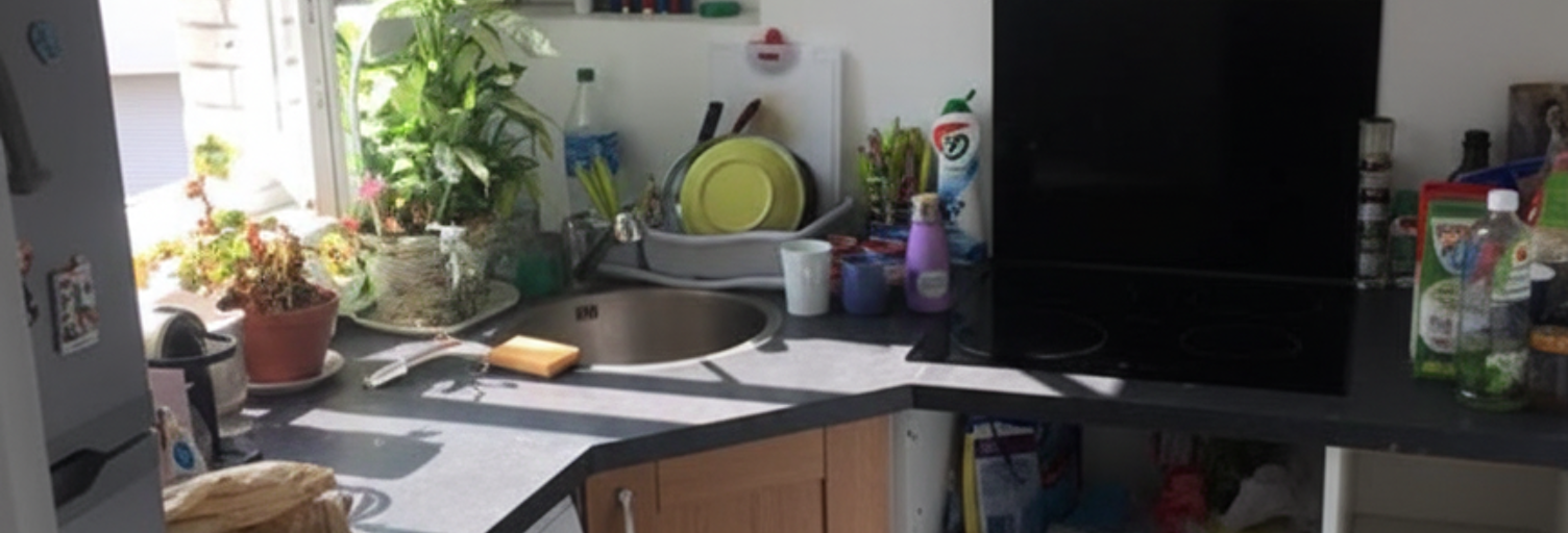 Appartement 2 Pièces 36 m² à vendre à Nogent-sur-Marne (94130)