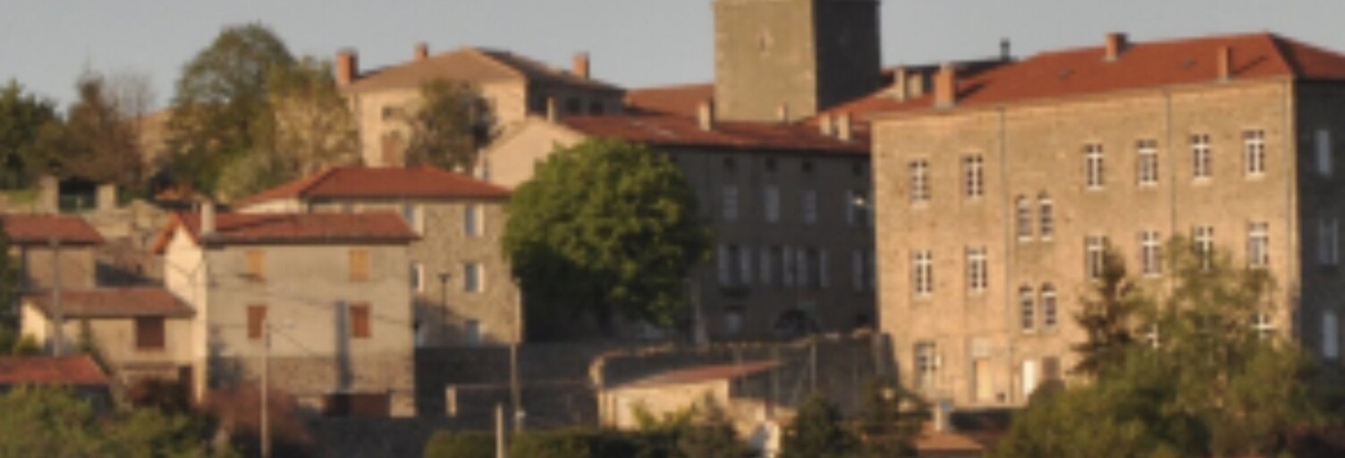 Terrain  10000 m² à vendre à Saint-Victor (07410)