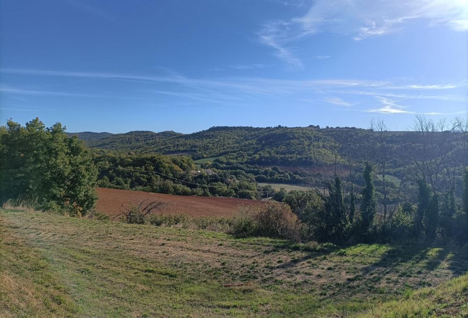 Terrain À Vendre — photo 1