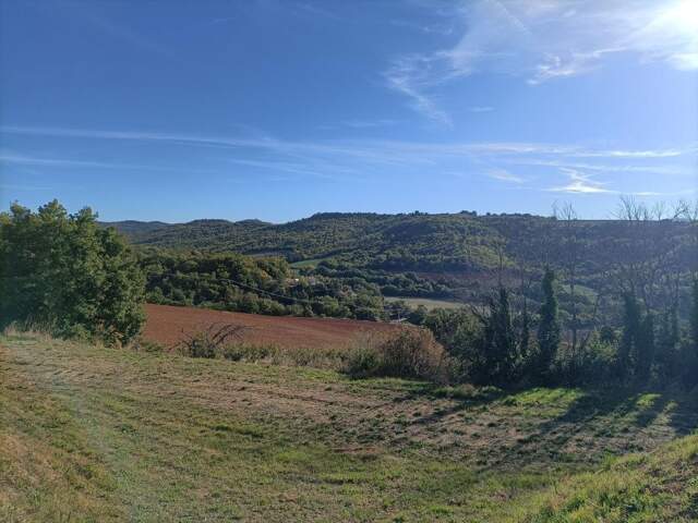 Terrain À Vendre — photo du bien