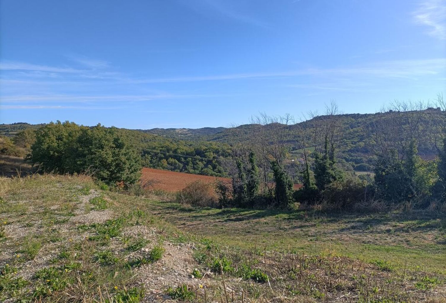 Terrain À Vendre — photo 1
