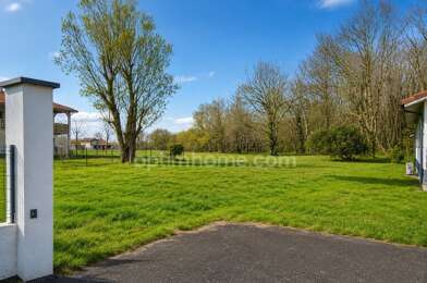 Terrain  258500 €