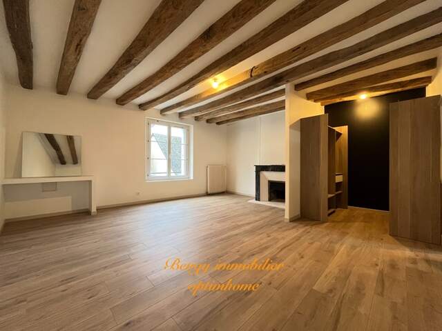 Maison de ville unique sur Chateau-La-Vallière — photo du bien