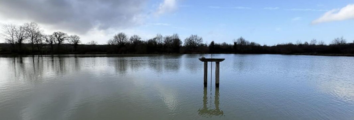 Commerce  123995 m² à vendre à Tendu (36200)