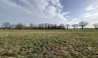 Terrain  64917 m² à vendre à Tendu (36200)