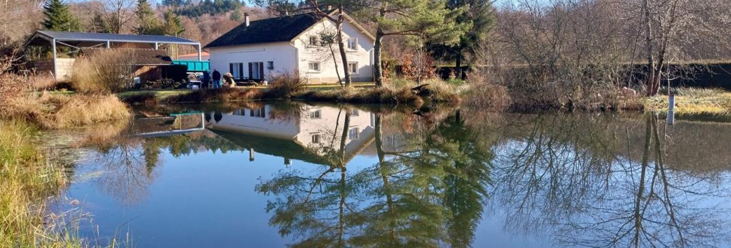 Maison 5 Pièces 200 m² à vendre à Belmont (70270)