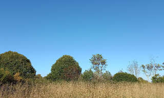 Terrain  3500 m² à vendre à Eygurande-et-Gardedeuil (24700)