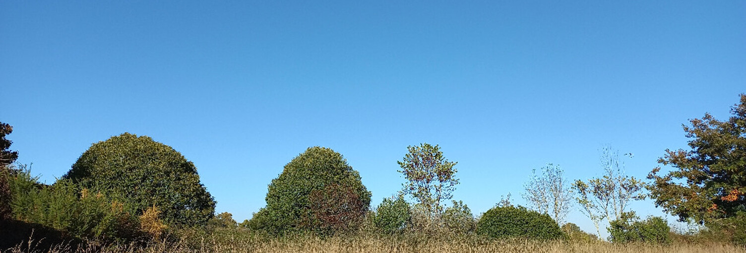 Terrain  3500 m² à vendre à Eygurande-et-Gardedeuil (24700)