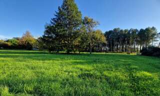 Terrain  1600 m² à vendre à Uzeste (33730)