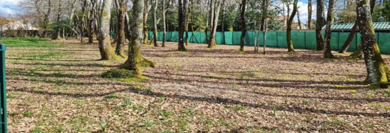 Terrain  1135 m² à vendre à Breuillet (17920)