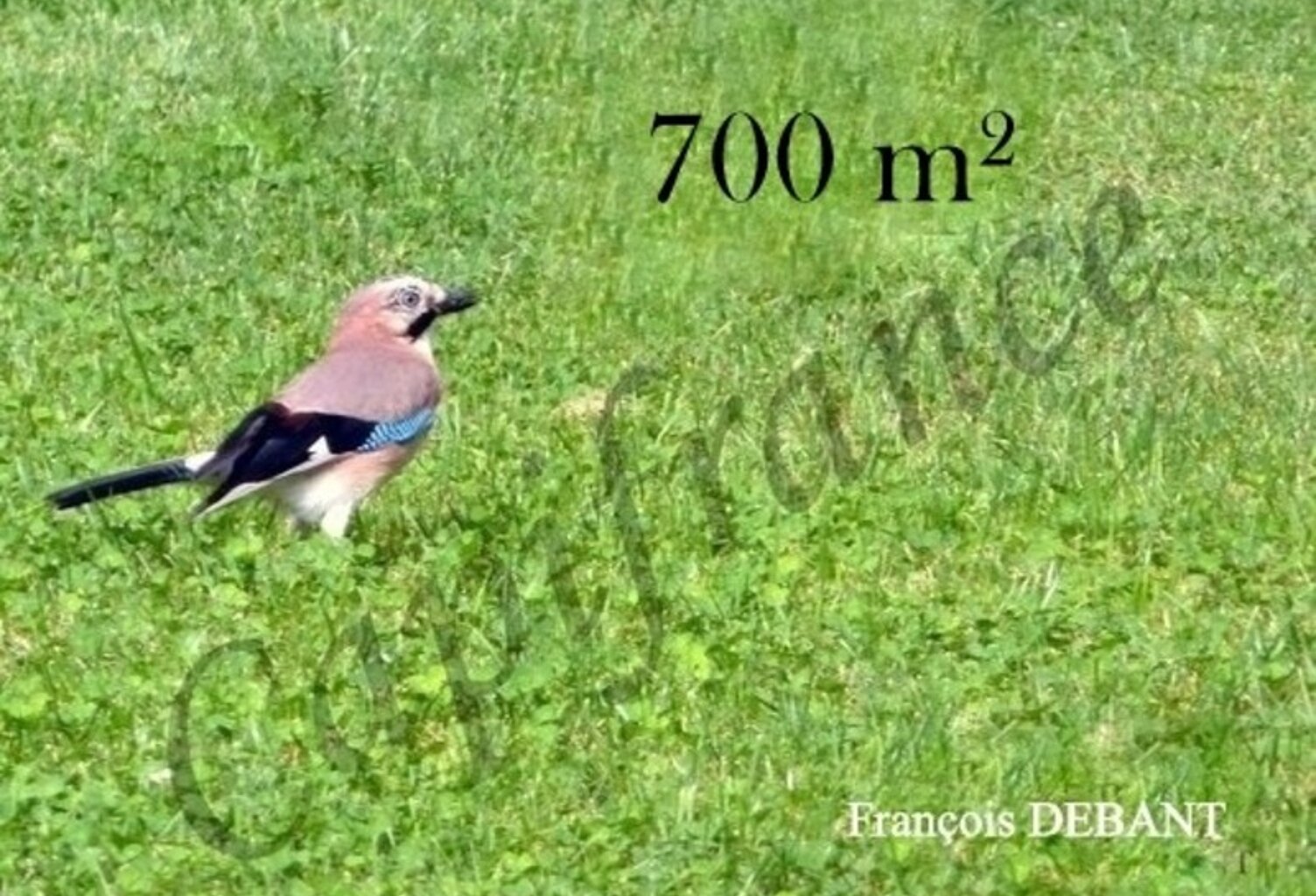 Terrain à vendre de 700,00 m² PONTFAVERGER MORONVILLIERS (51) — photo 1
