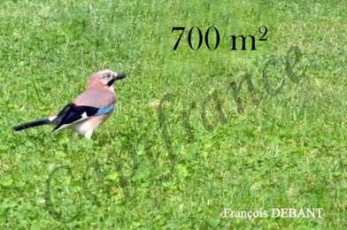 Terrain  72000 €