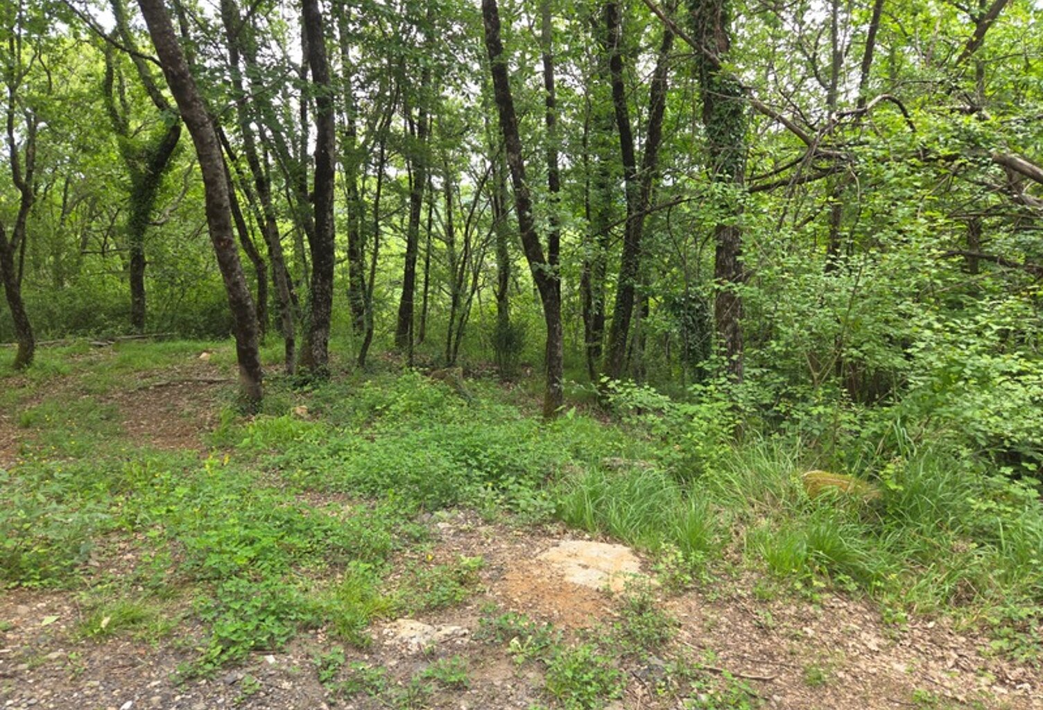 MEYRANNES (30) A vendre terrain d'une superficie de 9849m2 dont 868m2 à bâtir borné récemment et châtaigneraie — photo 1