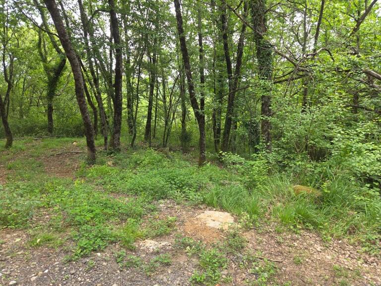 MEYRANNES (30) A vendre terrain d'une superficie de 9849m2 dont 868m2 à bâtir borné récemment et châtaigneraie — photo 1