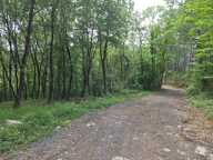MEYRANNES (30) A vendre terrain d'une superficie de 9849m2 dont 868m2 à bâtir borné récemment et châtaigneraie — photo 2