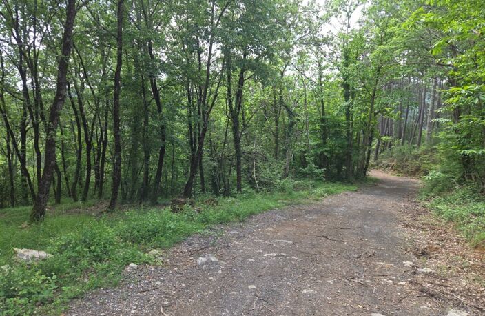MEYRANNES (30) A vendre terrain d'une superficie de 9849m2 dont 868m2 à bâtir borné récemment et châtaigneraie — photo 2