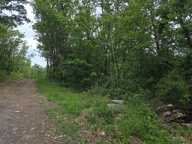 MEYRANNES (30) A vendre terrain d'une superficie de 9849m2 dont 868m2 à bâtir borné récemment et châtaigneraie — photo 4