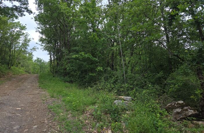 MEYRANNES (30) A vendre terrain d'une superficie de 9849m2 dont 868m2 à bâtir borné récemment et châtaigneraie — photo 4