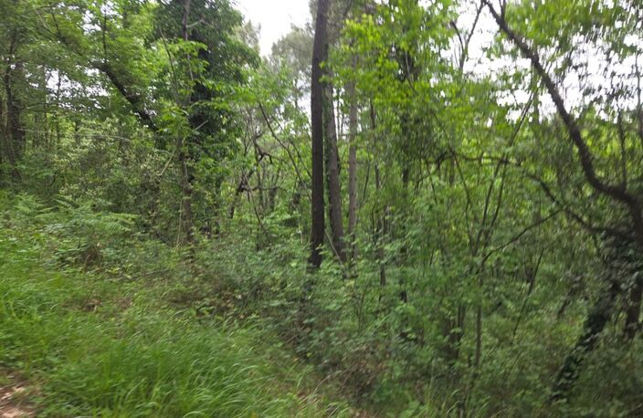 MEYRANNES (30) A vendre terrain d'une superficie de 9849m2 dont 868m2 à bâtir borné récemment et châtaigneraie — photo 5