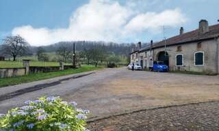 Maison 10 Pièces 250 m² à vendre à Gironcourt-sur-Vraine (88170)