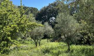 Terrain 850 m² à construire Brignoles (83170)