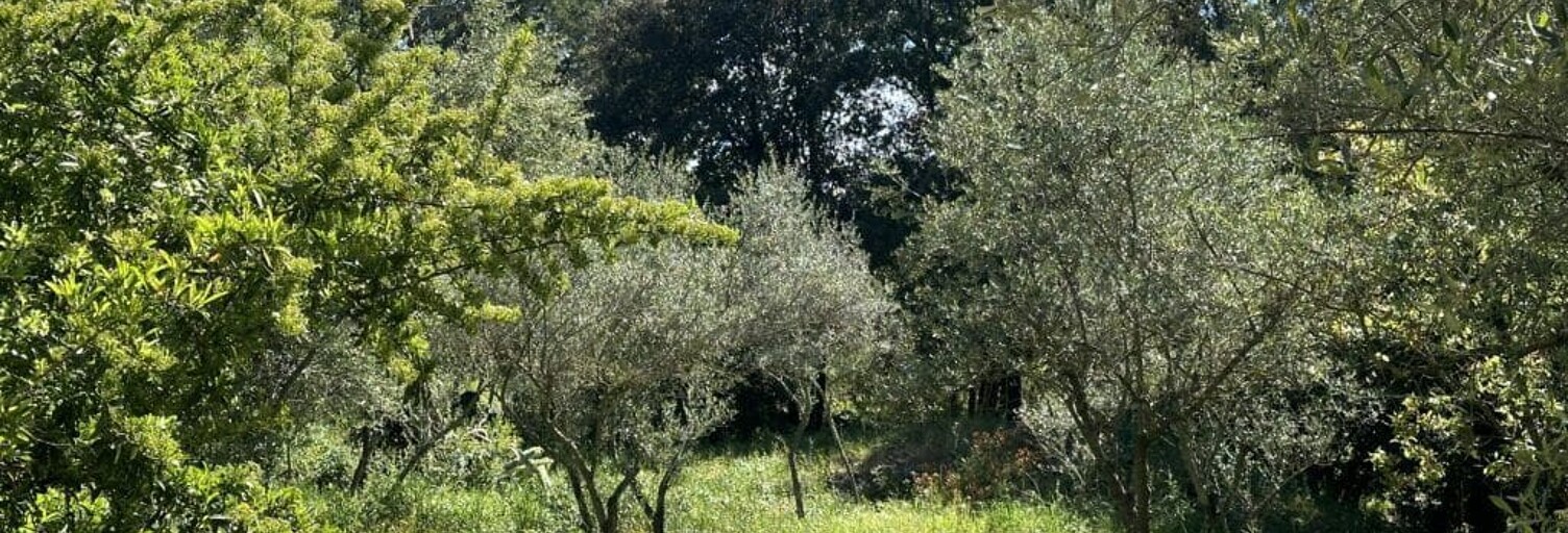 Terrain 850 m² à construire Brignoles (83170)