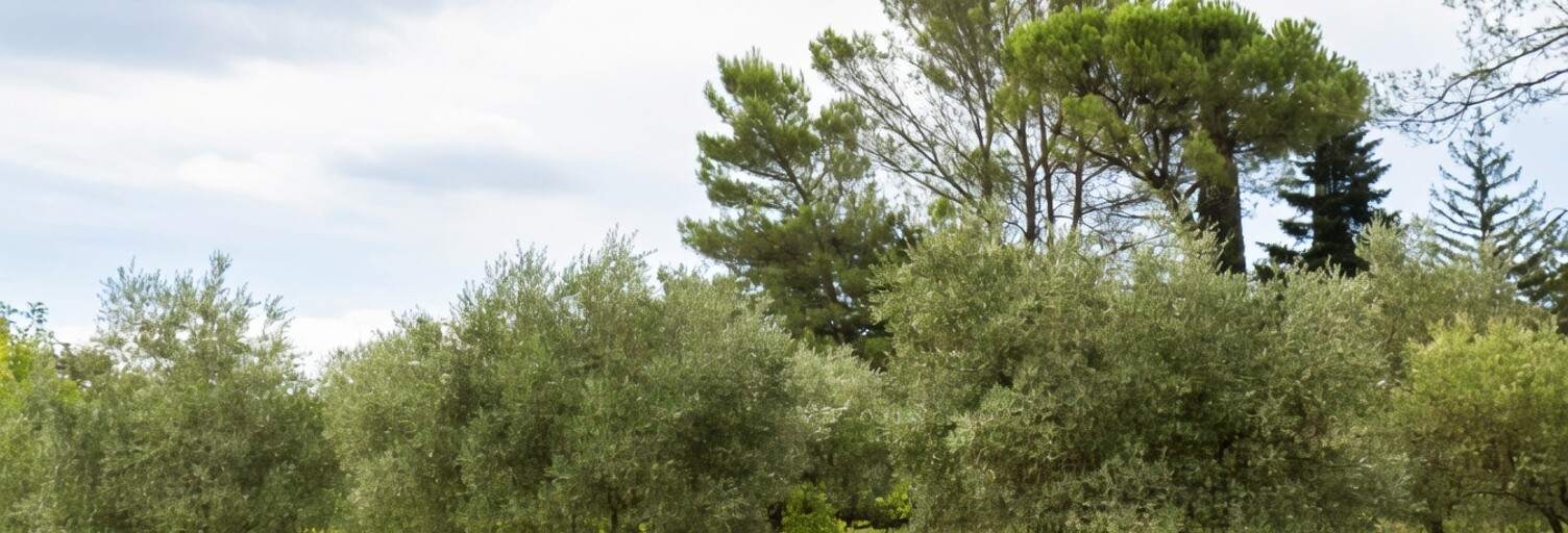 Terrain 700 m² à construire Brignoles (83170)