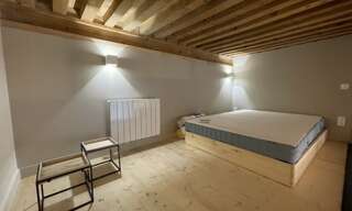 Appartement 1 Pièce 25 m² à louer à Lyon 1 (69001)
