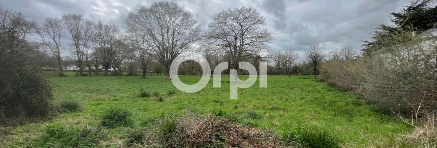 Terrain  9566 m² à vendre à Missillac (44780)