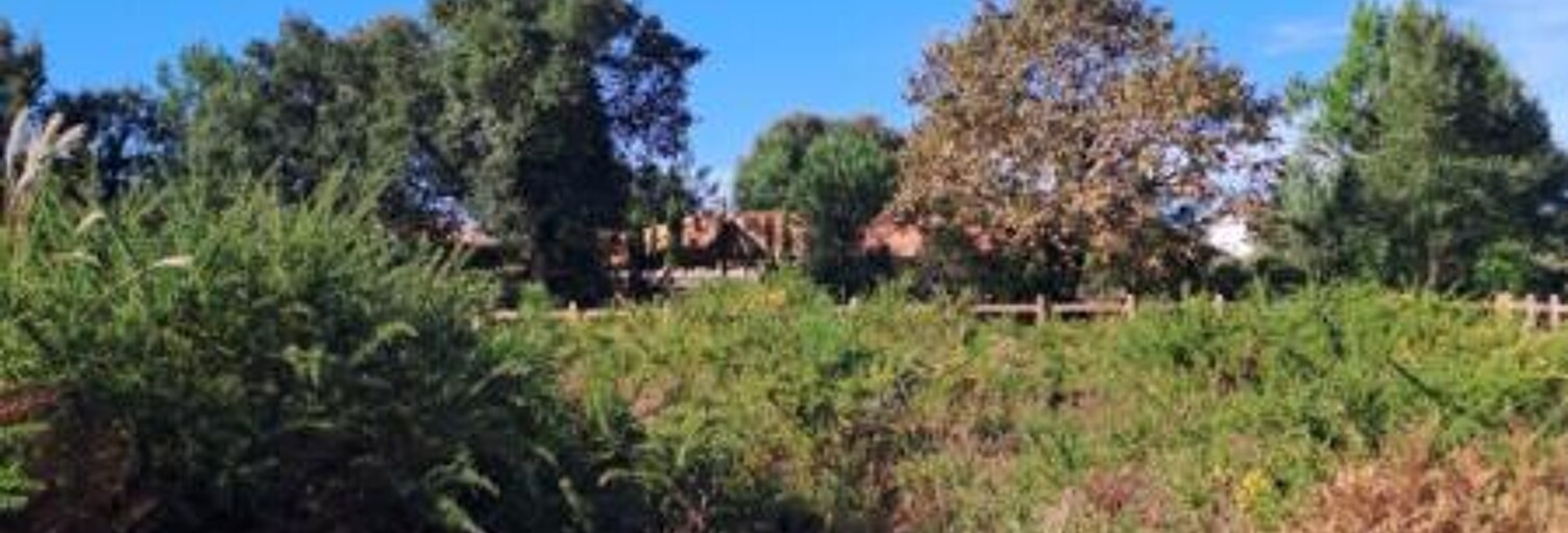 Terrain  1088 m² à vendre à Moliets-et-Maâ (40660)