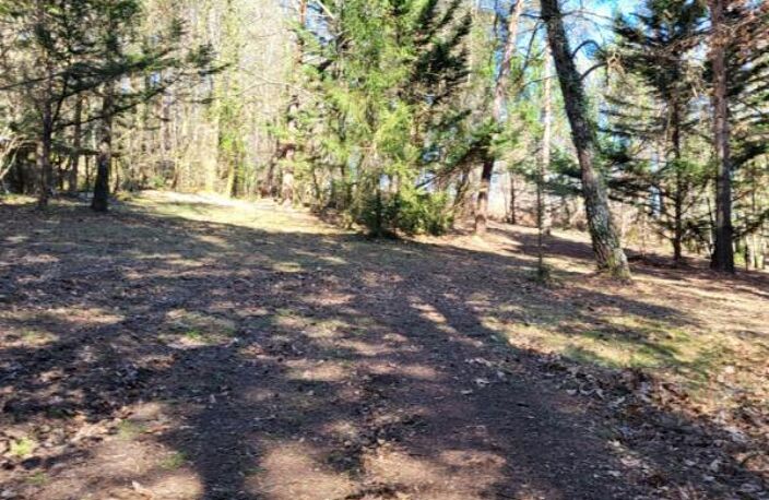 Maison 8 pièces 180 m2, parc de 8700 M2 avec dépendances — photo 4