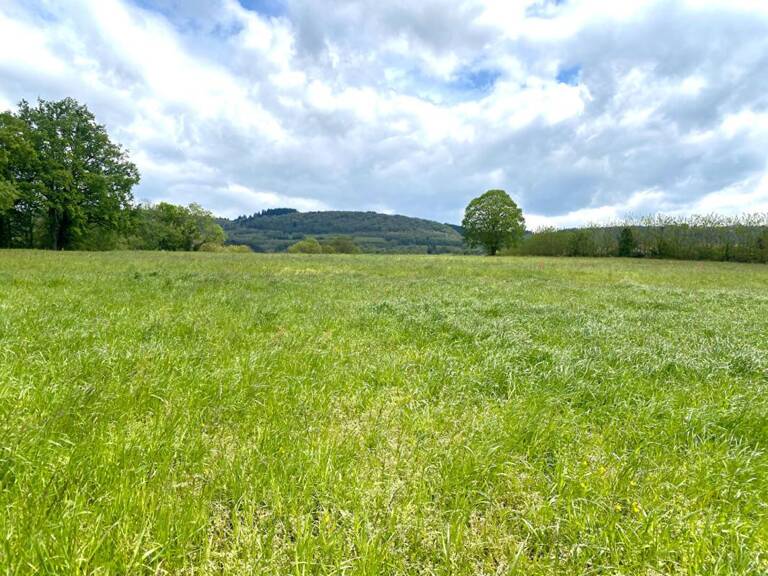 Terrain  constructible de 1324 m2 ( lot n° 2 ) — photo 1