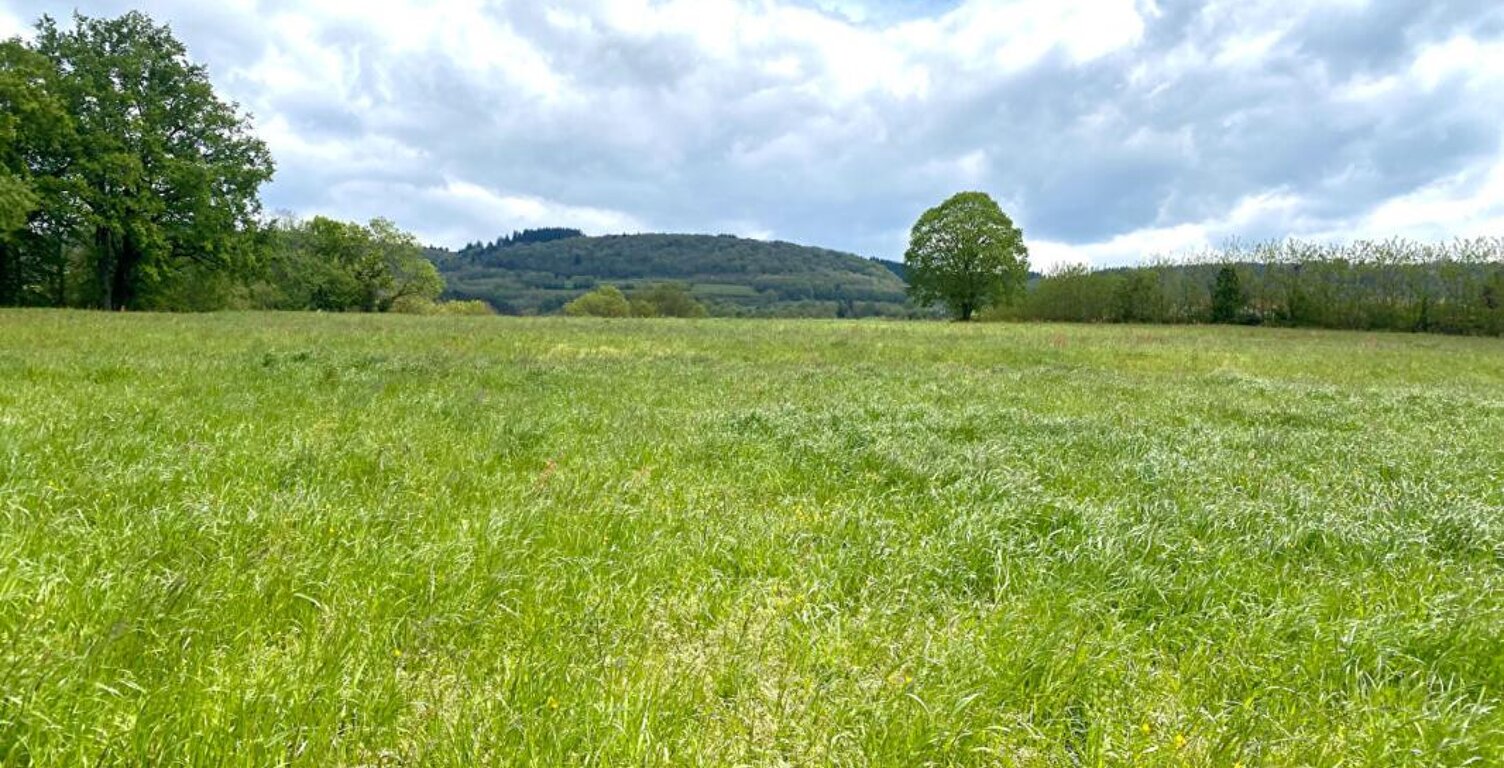 Terrain  constructible de 1324 m2 ( lot n° 2 ) — photo 1