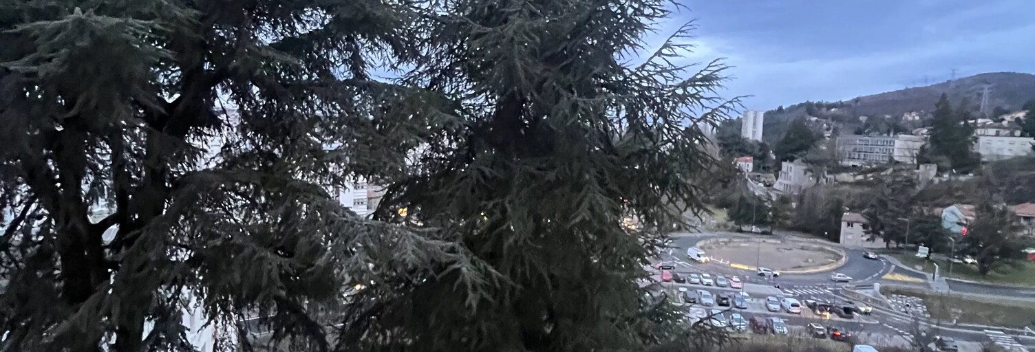 Appartement 4 Pièces 63 m² à vendre à Saint-Étienne (42100)