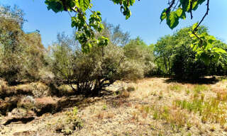 Terrain  600 m² à vendre à Vailhauquès (34570)