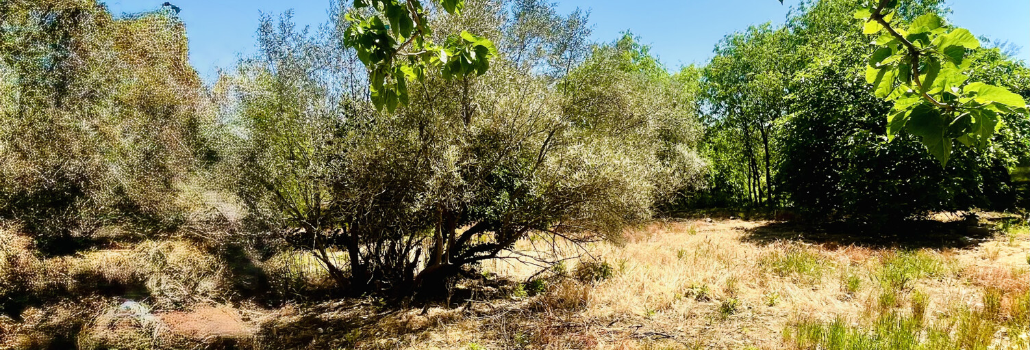 Terrain  600 m² à vendre à Vailhauquès (34570)