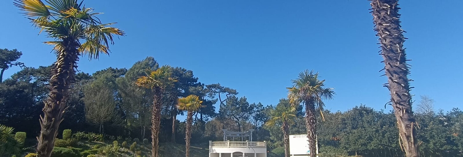 Appartement 1 Pièce 30 m² à louer à Les Sables-d'Olonne (85340)