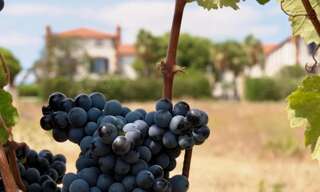 Maison 67 Pièces 1497 m² à vendre à Cabestany (66330)