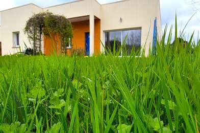 Maison 6 pièces 229500 €