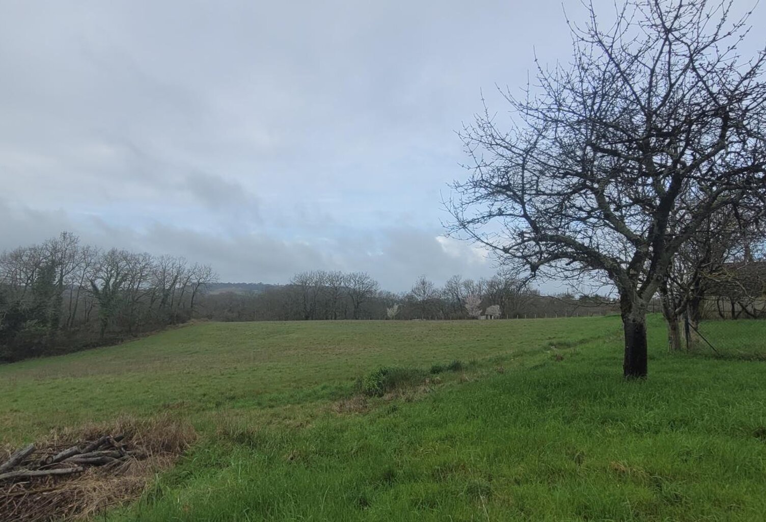 GRAND TERRAIN — photo 1