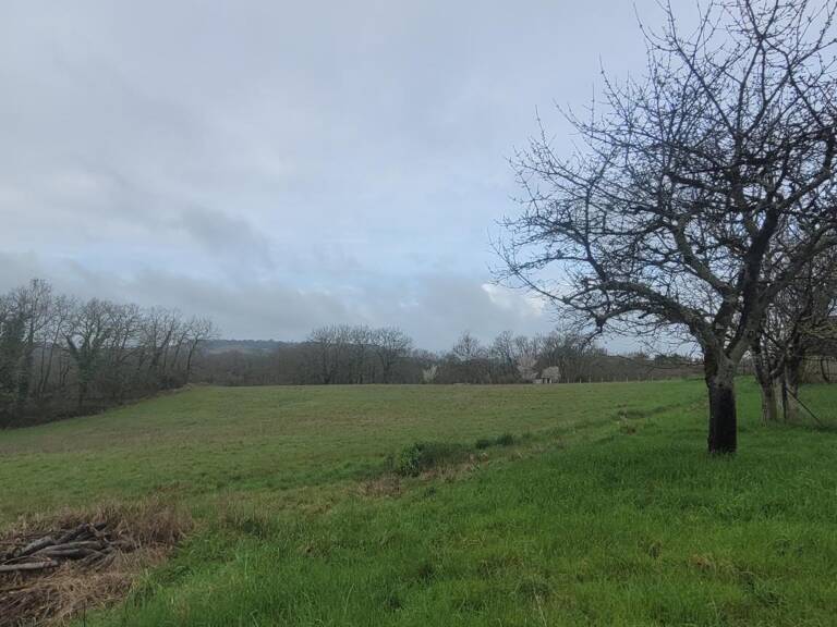 GRAND TERRAIN — photo 1