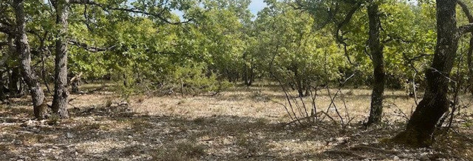 Terrain  57250 m² à vendre à Forcalquier (04300)