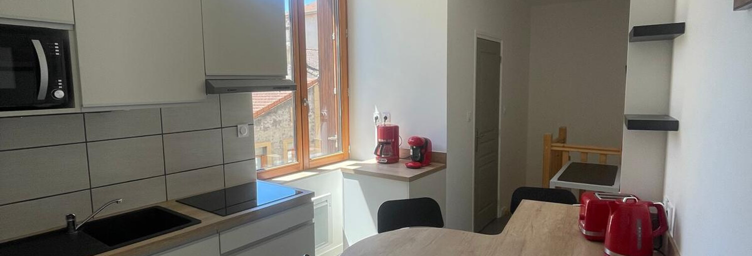 Appartement 1 Pièce 41 m² à louer à Saint-Étienne (42000)