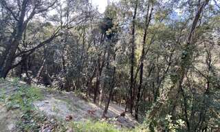 Terrain  2397 m² à vendre à Menton (06500)