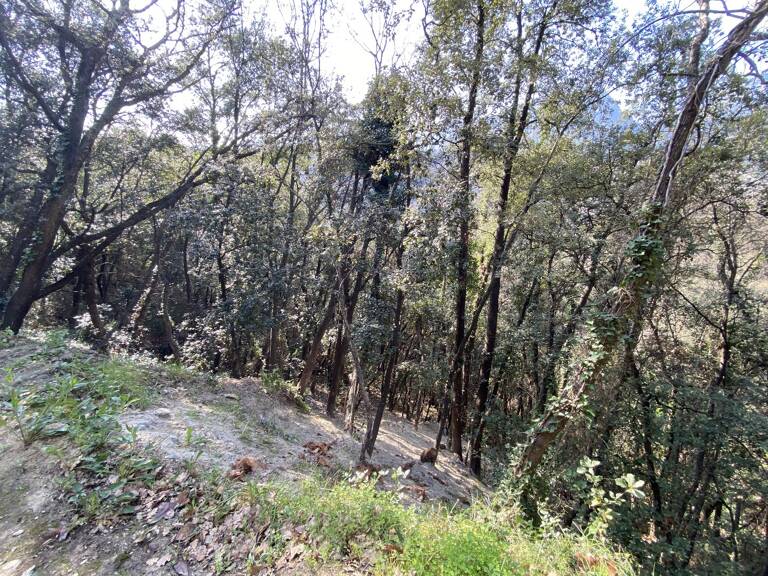 Terrain — photo 1