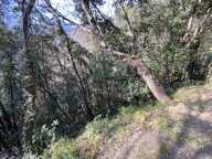 Terrain — photo 2