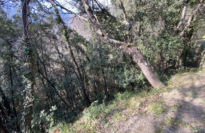 Terrain — photo 2