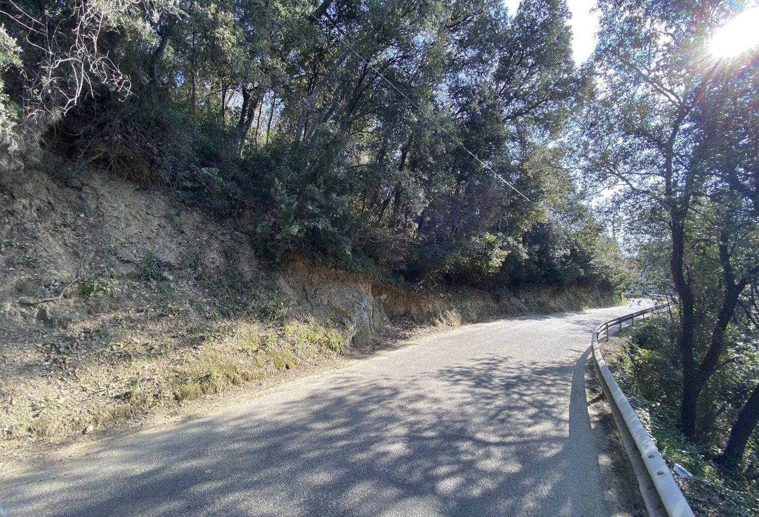 Terrain — photo 1