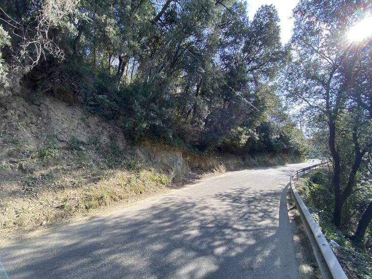Terrain — photo 1