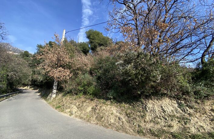 Terrain — photo 2